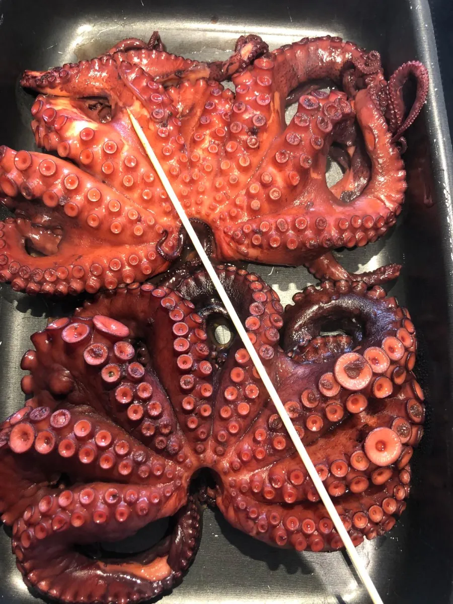Tentáculos de polvo grelhado no prato no Fogo e Tradição